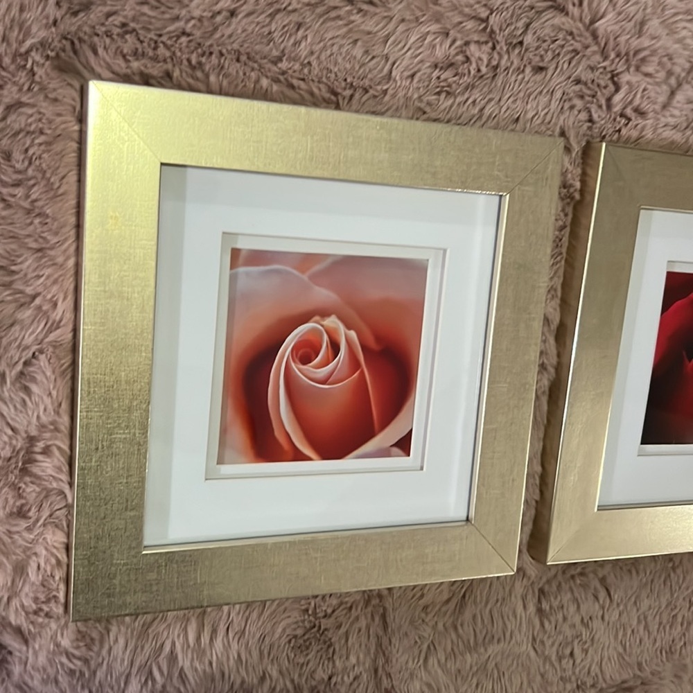 Set of 2 soft champagne gold framed rose photos white matte 10” x 10” square​​ - Picture 2 of 13
